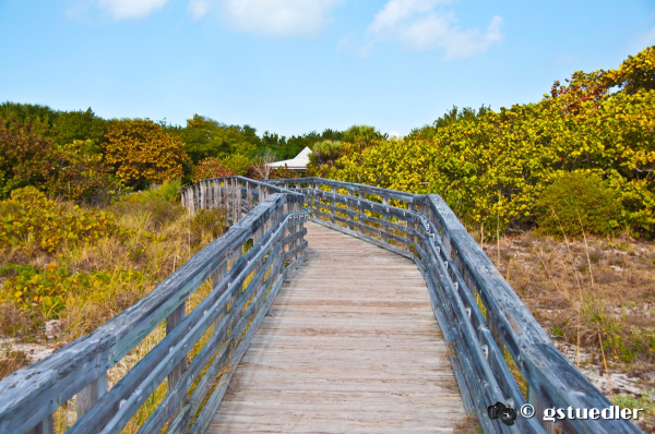 beach_boardwalk.jpg