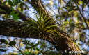 airplant_deering_external_.jpg