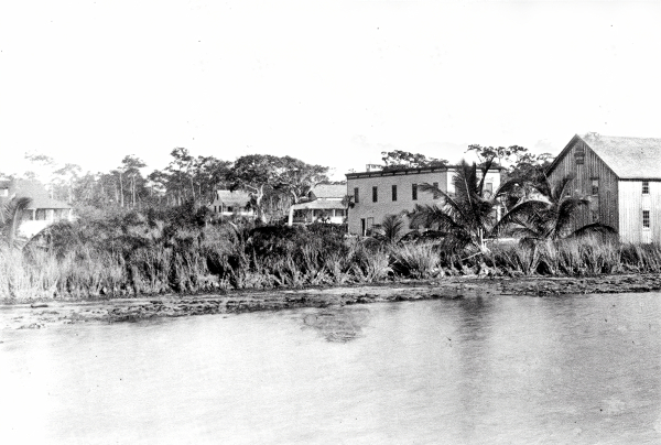 dowtown_coconut_grove_1896.jpg