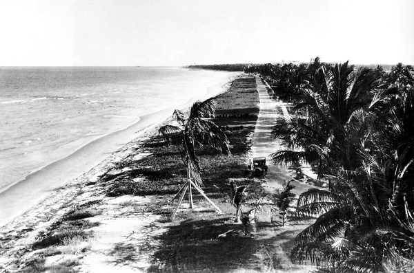 miami_beachfront_1920s.jpg